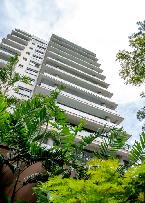 Lake Parque Ibirapuera