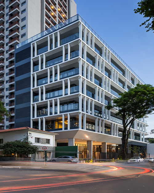 Dynamic Pinheiros
